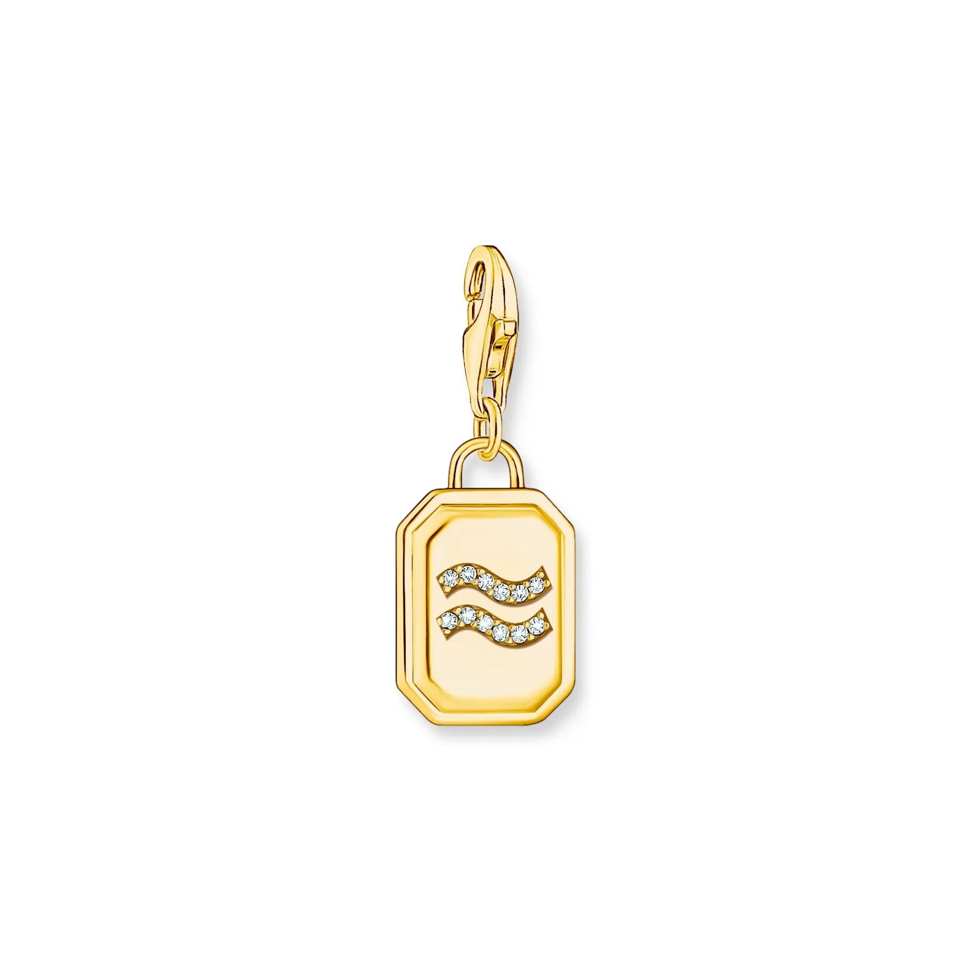Aquarius zodiac sign gold charm Pendant