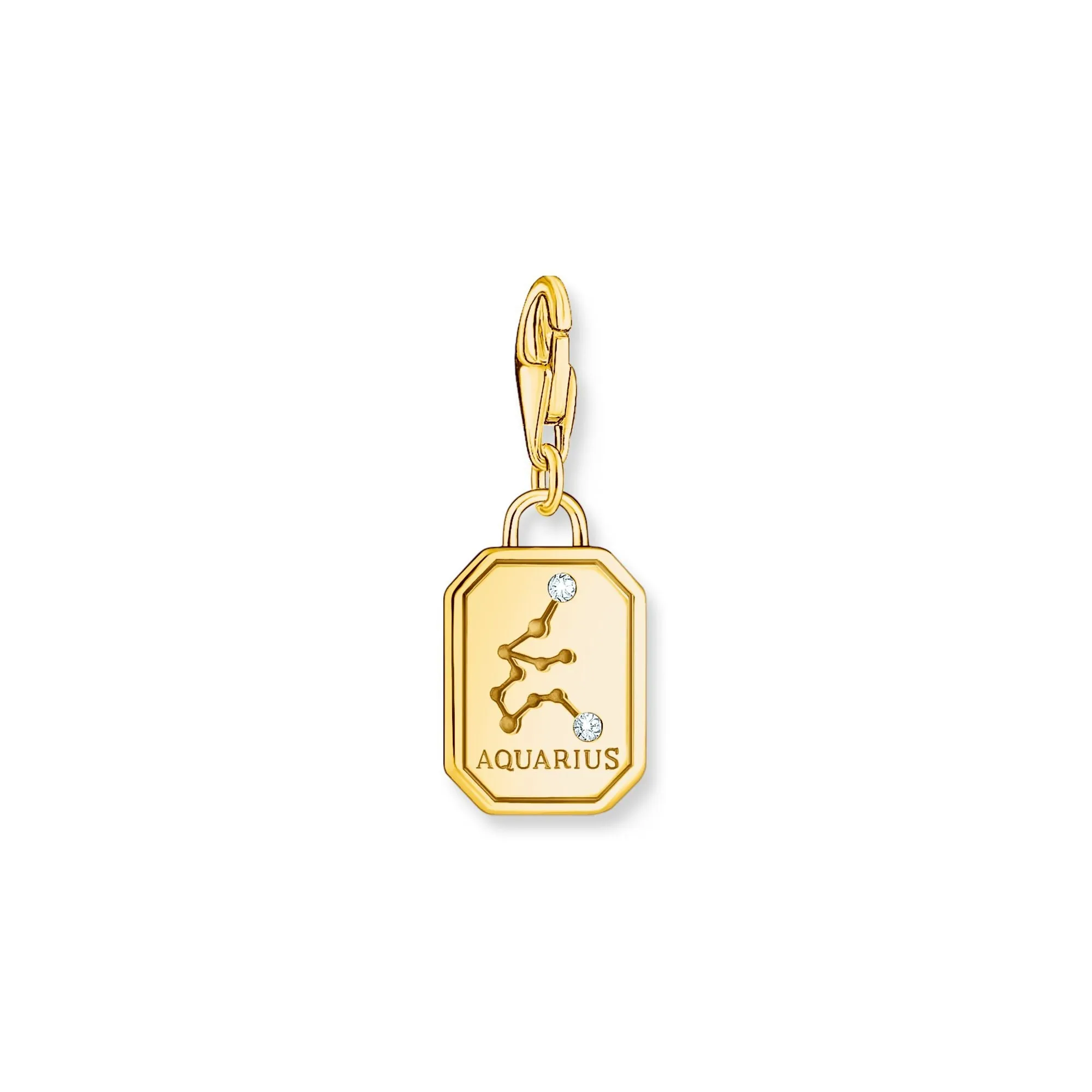 Aquarius zodiac sign gold charm Pendant