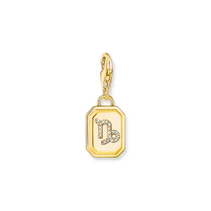 Capricorn Zodiac Sign gold charm Pendant