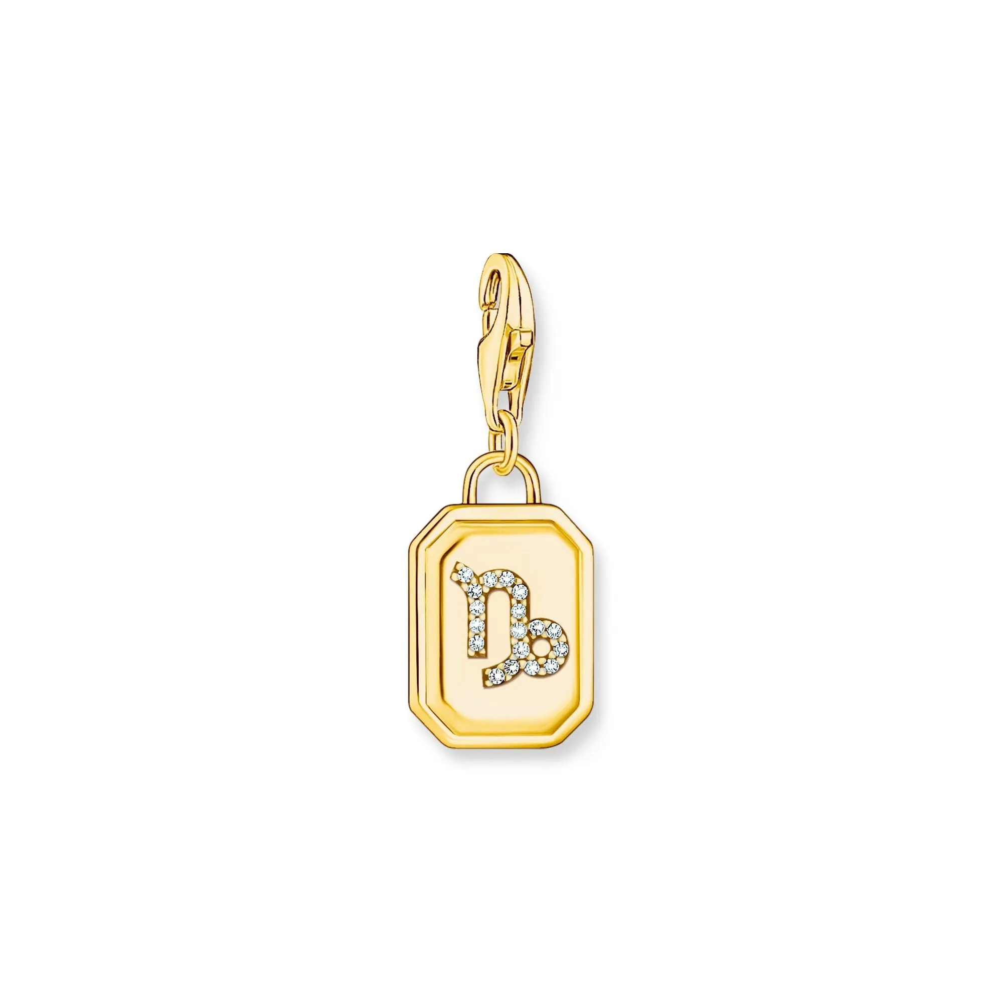 Capricorn Zodiac Sign gold charm Pendant