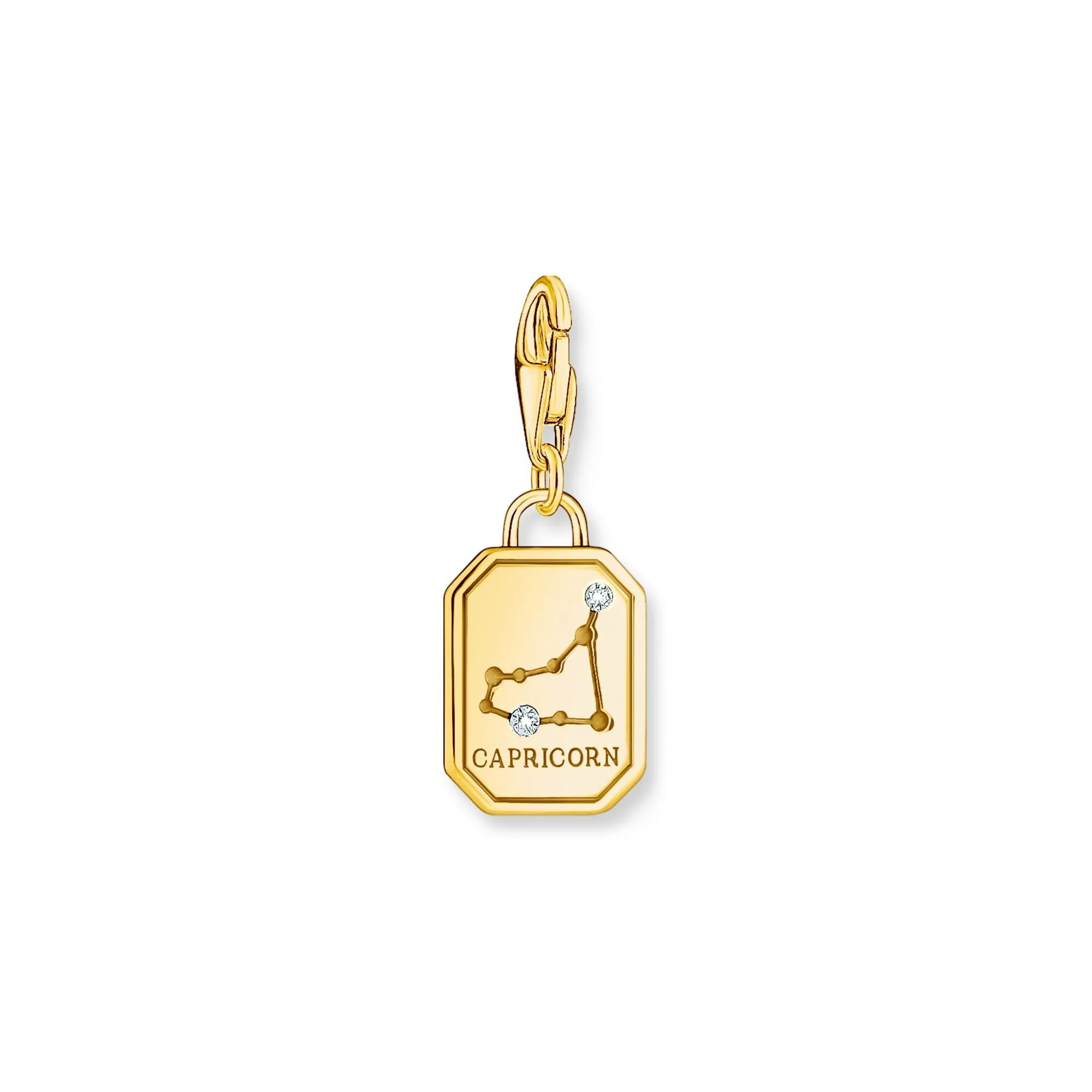 Capricorn Zodiac Sign gold charm Pendant