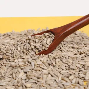 Sunflower Seeds